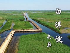 ag体育网址-加时末段法兰克福调整名单以备社区盾，门线救险环节打磨，气氛紧张，年轻球员得到机会